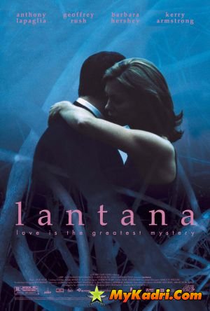 Lantana / ლანტანა