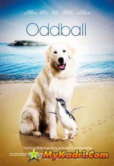უცნაური, Oddball