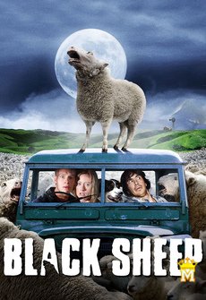 შავი ცხვარი, BLACK SHEEP