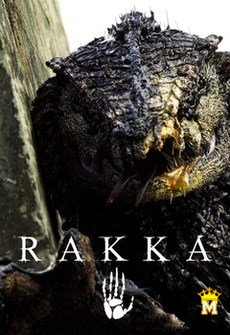 რაკკა / Rakka