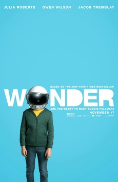 საოცრება / Wonder