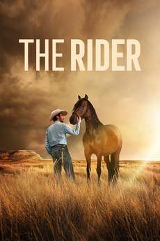 მხედარი / The Rider