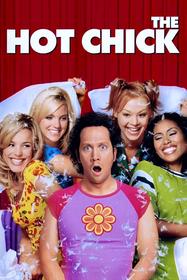 მაგარი გოგონა / The Hot Chick