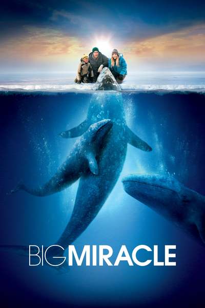 დიდი საოცრება / Big Miracle