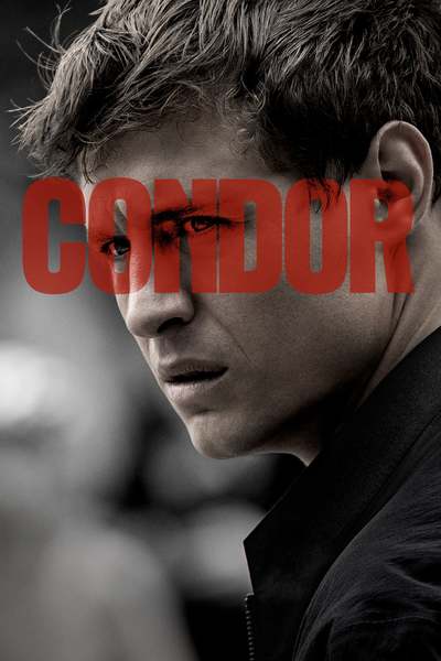 კონდორი / Condor