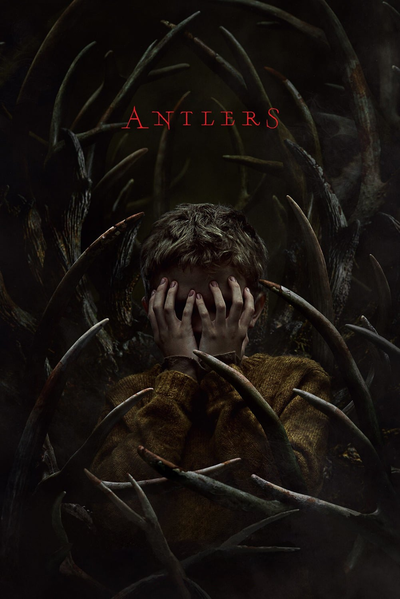 ირმის რქები / Antlers