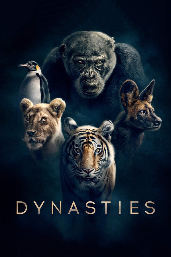 დინასტიები / Dynasties