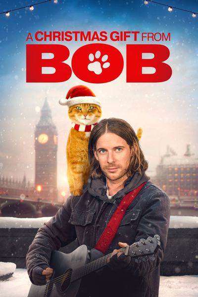 საშობაო საჩუქარი ბობისგან / A CHRISTMAS GIFT FROM BOB