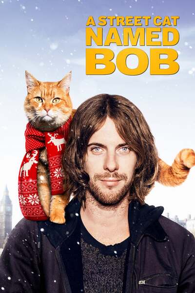 ქუჩის კატა სახელად ბობი / A STREET CAT NAMED BOB
