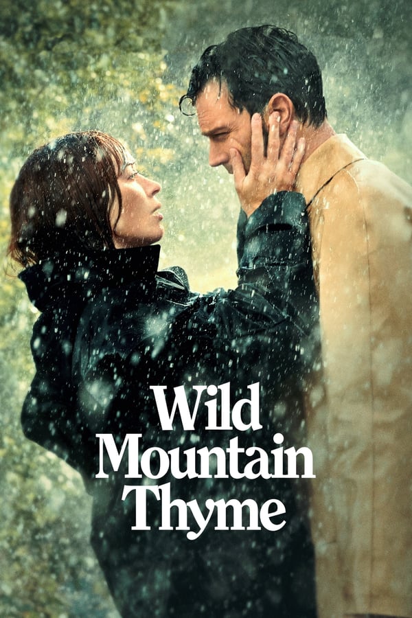 ველური ქონდარა / Wild Mountain Thyme