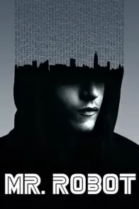 მისტერ რობოტი / Mr. Robot