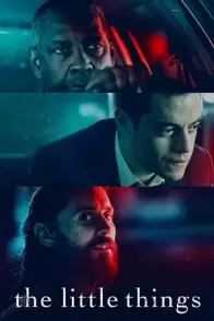 მცირე დეტალები / THE LITTLE THINGS ( ეშმაკი დეტალებშია )