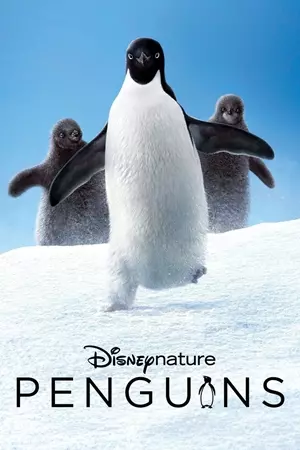 პინგვინები / Penguins