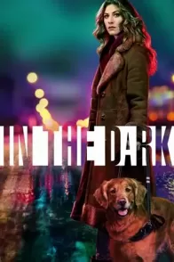 სიბნელეში / IN THE DARK