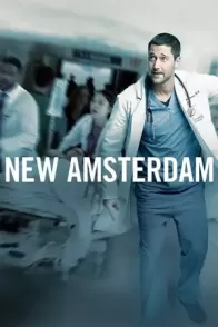ახალი ამსტერდამი / New Amsterdam
