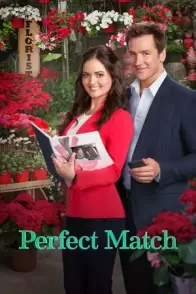 იდეალური არჩევანი / PERFECT MATCH