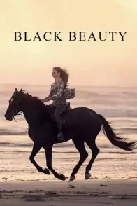 Შავი სილამაზე / BLACK BEAUTY