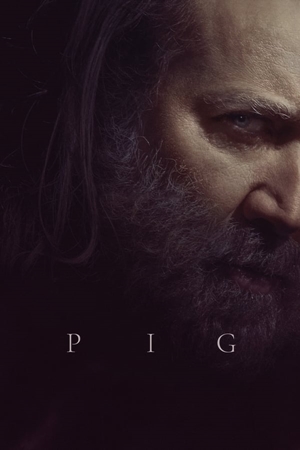 ღორი / PIG