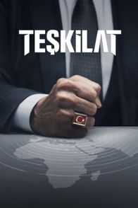 დაზვერვა / TESKILAT ( ორგანიზაცია )