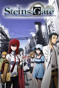 შტეინის კარიბჭე / STEINS GATE ( შტაინის კარიბჭე )