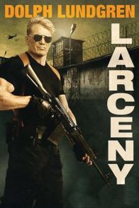 ქურდობა / Larceny
