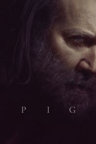 ღორი / PIG