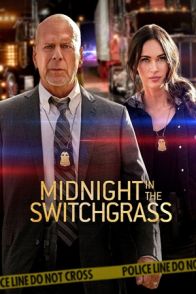 შუაღამე ფეტვის ყანაში / MIDNIGHT IN THE SWITCHGRASS