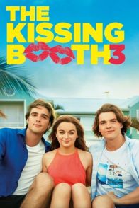 კოცნის ჯიხური 3 / THE KISSING BOOTH 3
