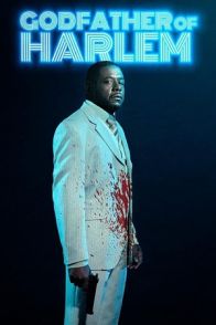 ჰარლემის ნათლია / GODFATHER OF HARLEM
