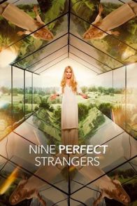 ცხრა იდეალური უცნობი / NINE PERFECT STRANGERS