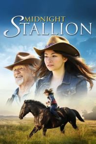 შუაღამის ულაყი / Midnight Stallion