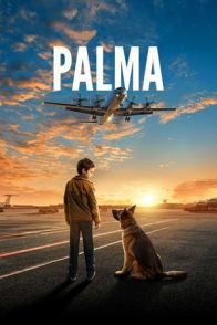 პალმა / Palma