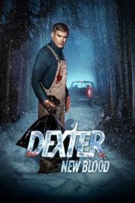 დექსტერი: ახალი სისხლი / DEXTER: New Blood