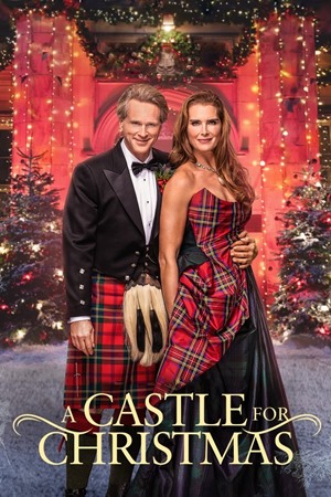 სასახლე საშობაოდ / A CASTLE FOR CHRISTMAS