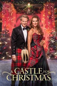 სასახლე საშობაოდ / A CASTLE FOR CHRISTMAS
