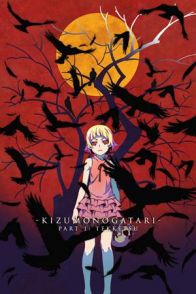 ჭრილობათა ისტორია: ნაწილი პირველი / Kizumonogatari Part 1: Tekketsu
