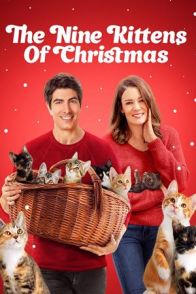 ცხრა საშობაო კნუტი / The Nine Kittens of Christmas