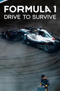 ფორმულა 1: რბოლა გადარჩენისთვის / FORMULA 1: DRIVE TO SURVIVE