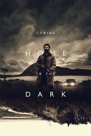 სახლში დაბრუნება სიბნელეში / Coming Home in the Dark