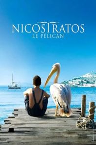 პელიკანი / Nicostratos the Pelican