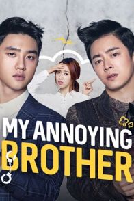 ჩემი შემაწუხებელი ძმა / MY ANNOYING BROTHER