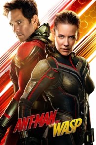 ადამიანი ჭიანჭველა და ბზიკი / ANT-MAN AND THE WASP (ანთმენი და ბზიკი)