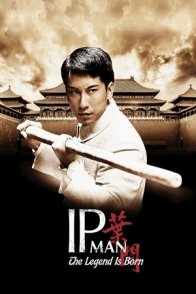 იპ მენი ლეგენდის დაბადება / The Legend Is Born: Ip Man
