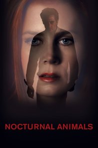 ღამის ცხოველები / NOCTURNAL ANIMALS