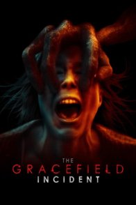 გრეისფილდის ინციდენტი / The Gracefield Incident