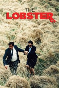 ლობსტერი / The Lobster