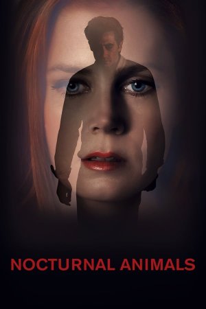 ღამის ცხოველები / NOCTURNAL ANIMALS