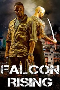 შევარდენის აღზევება / Falcon Rising