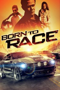 რბოლისთვის დაბადებული / Born to Race