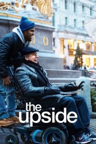 დადებითი მხარე / The Upside